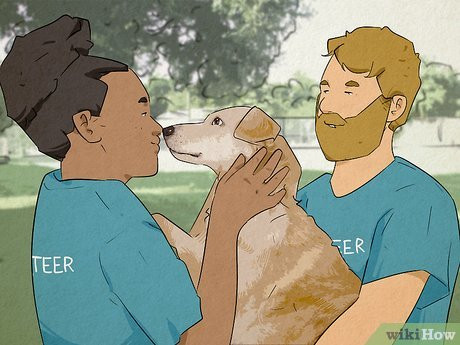 Impress your partner by showing how much you care about a certain issue.